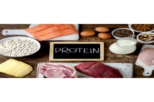 Hur jobbar protein